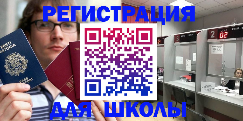 прописка поиск в Кингисеппе